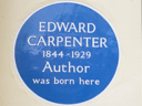 Carpenter, Edward (id=2557)